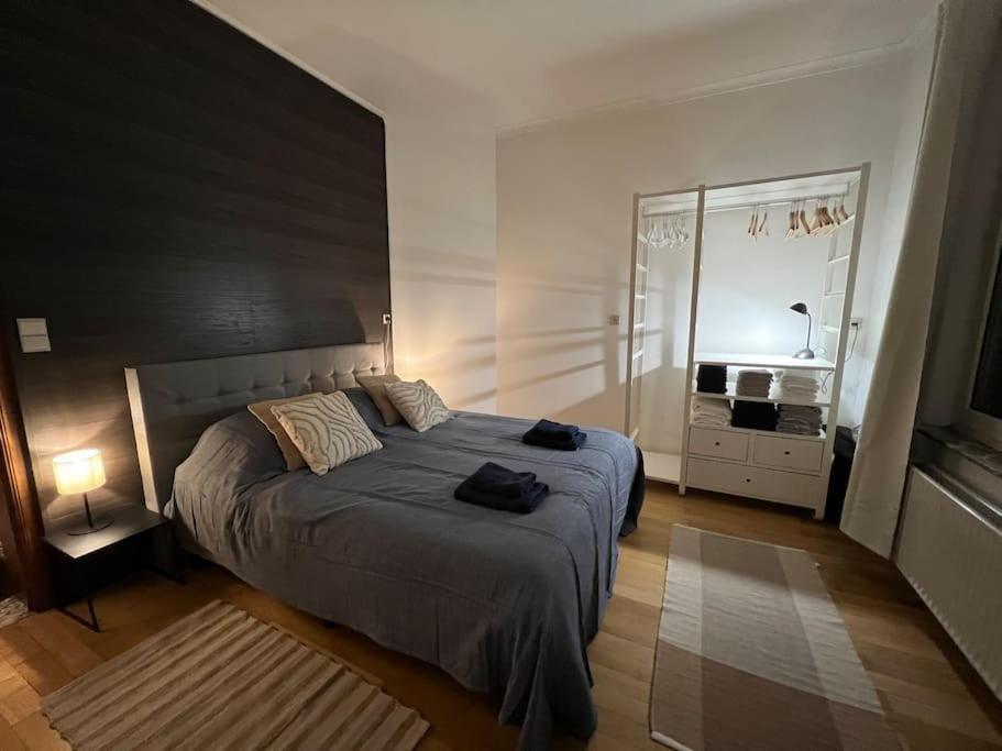 Bellevue - Grand Appartement Pour 5 Sur Les Quais De La Meuse リエージュ エクステリア 写真